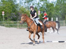 IMG_0489_web